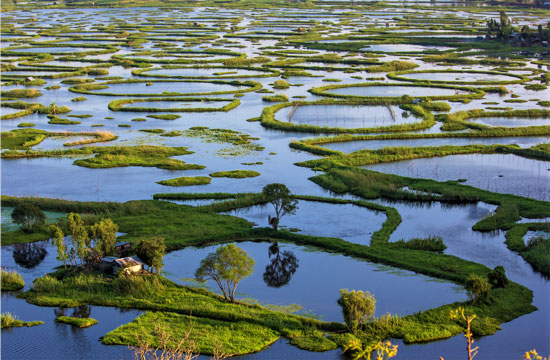 Loktak Lake Manipur